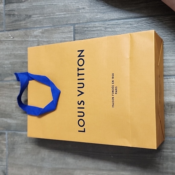 Louis Vuitton Luxury Ribbon and Shopping Paper Bag - Picture 9 of 10